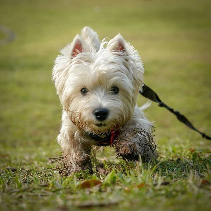 844c6418 eea0 43fa ab99 1842d5fa14bf 1522723752122