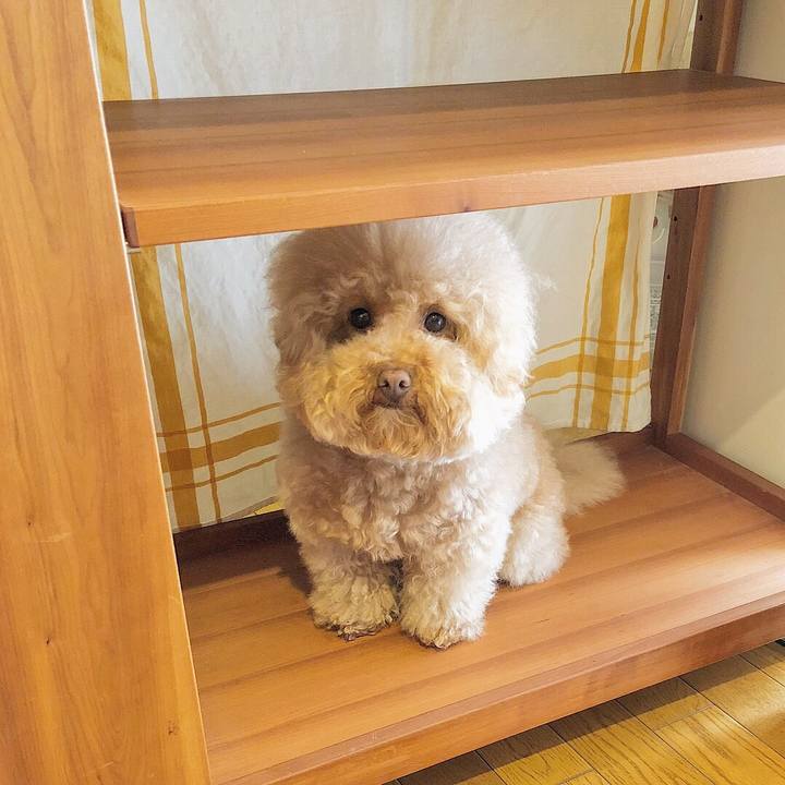 844c66d2 fd60 4dd1 85d1 479d2f748b9a 1519548966156