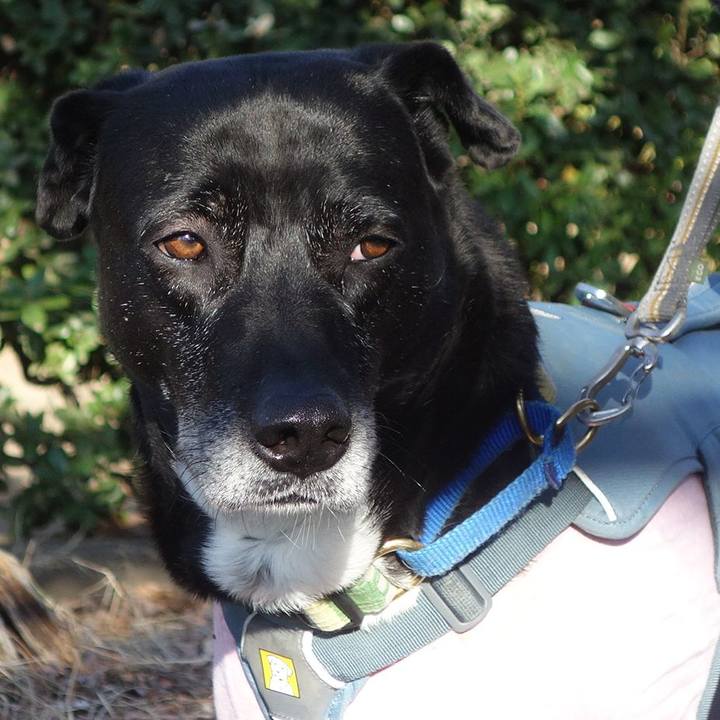 844c9cba 62e6 438e 87e8 b79efb77c362 1709342419672