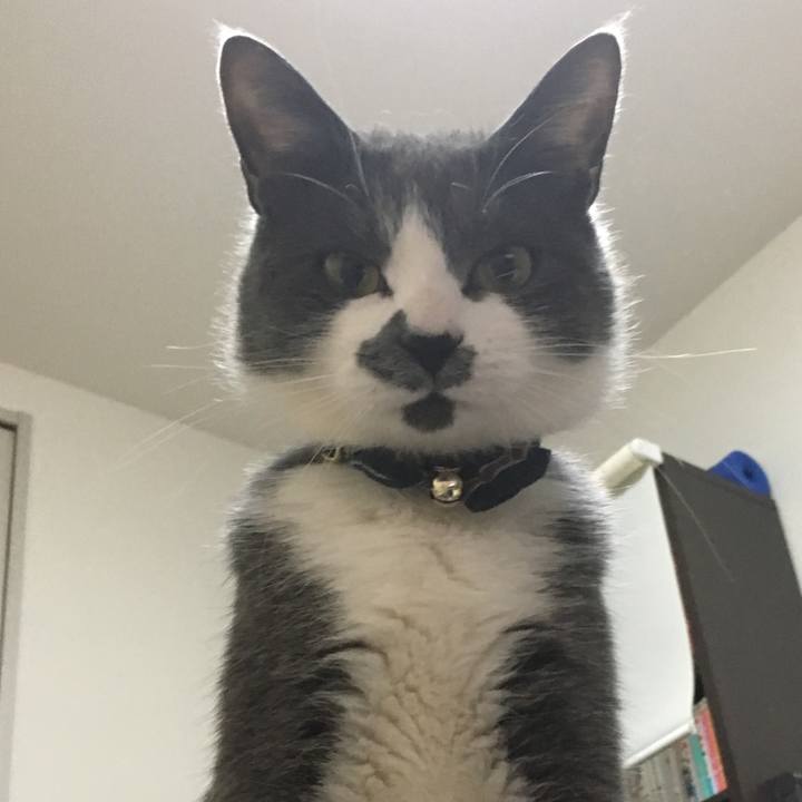 844cd1a2 ca26 4fa1 88d5 df4479a671c1 1523369659182