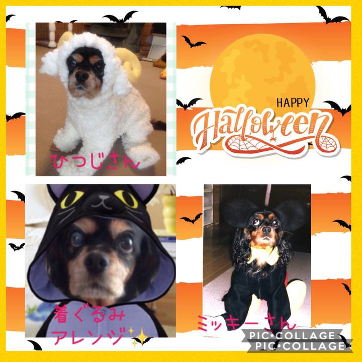 844d21f1 f691 43e7 90e2 1707a4cde40f 1572527470746