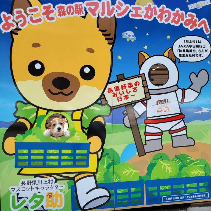 844d6e11 dae3 4f33 8a7b 88296bee88d1 1661485139355