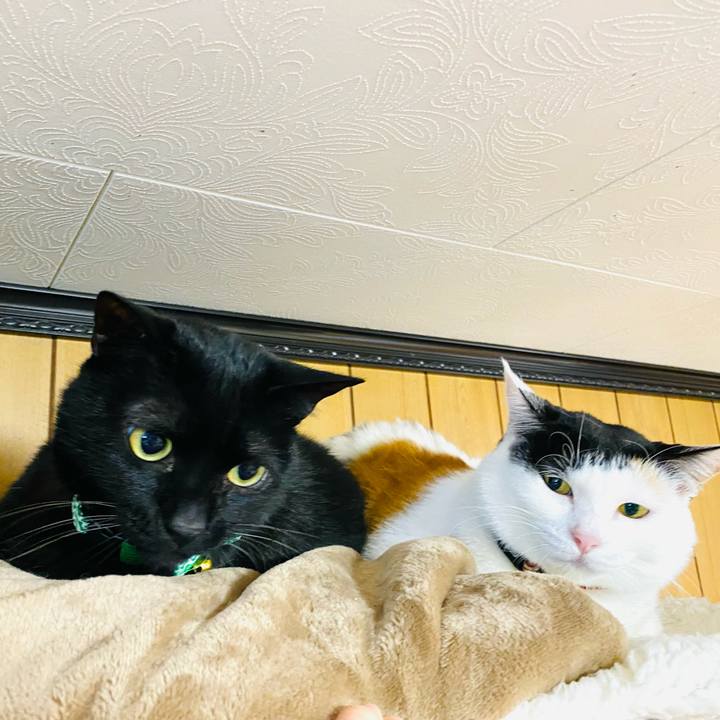 844d7205 9d51 452a 836b 32cf3b0afc79 1673180839452