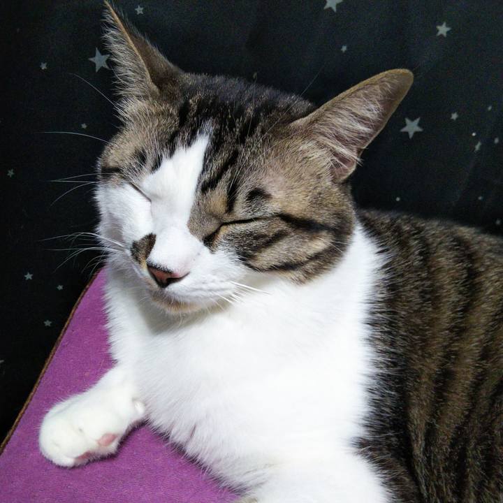 844d7ab6 28e0 469e 8acd 6353aa4040d4 1642853870169