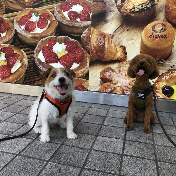 844d880f 40da 4f68 9430 00b79f5574ca 1597619098798