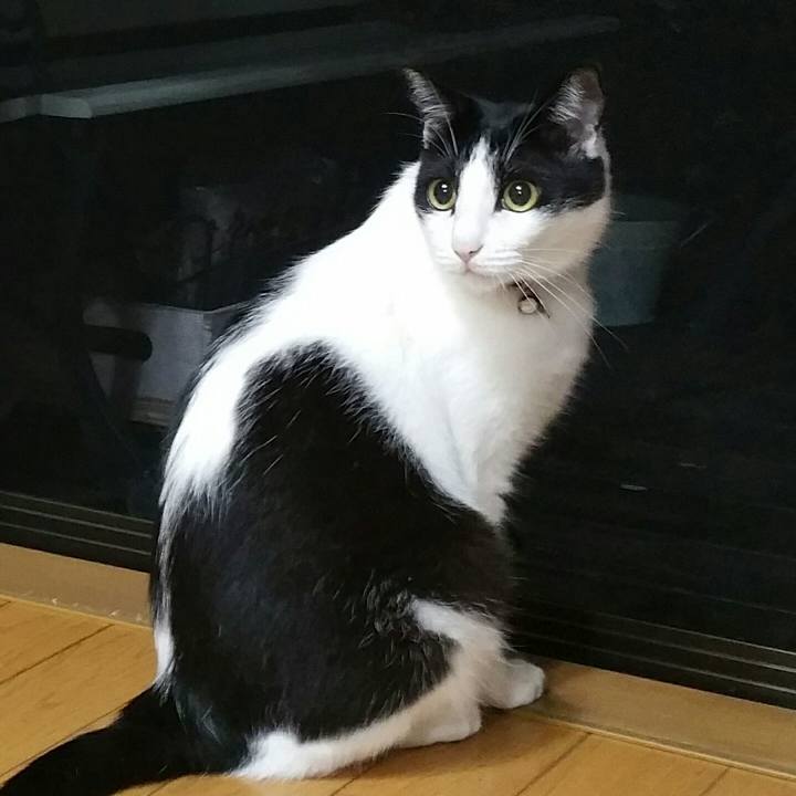 844d9457 b9fb 4d1f 8cf4 8b12340471f6 1542591179076