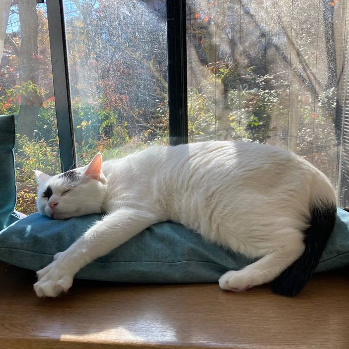 844da756 28f3 4a36 8647 dba3b6c222fd 1765080550305