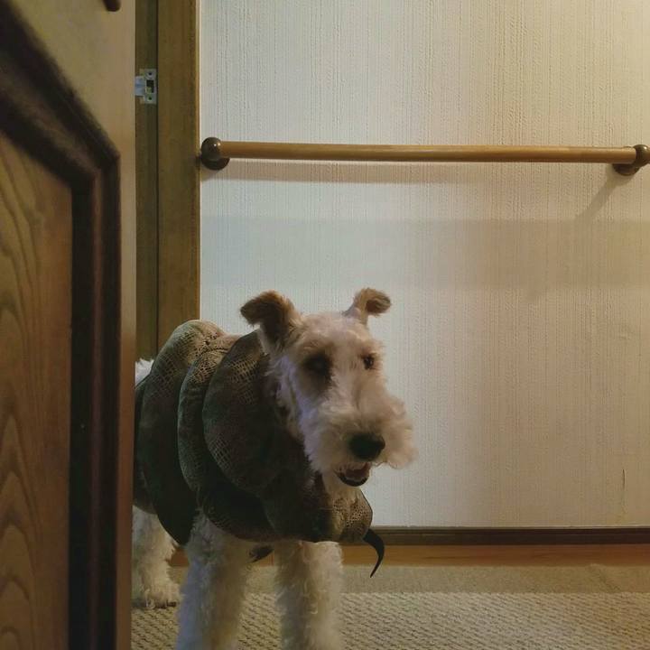 844db4d1 bf36 47ea 84ae cd3a2b30a4d5 1564493895706