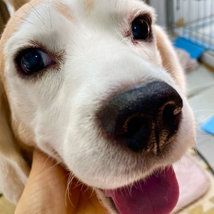 844dc3ee b070 4d0f ba11 097f795ffc91 1621745289627