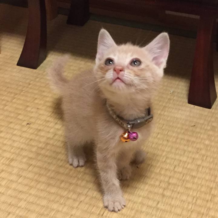 844dd6e6 62c7 4e13 8f8c c8e78a2a4022 1531742023249