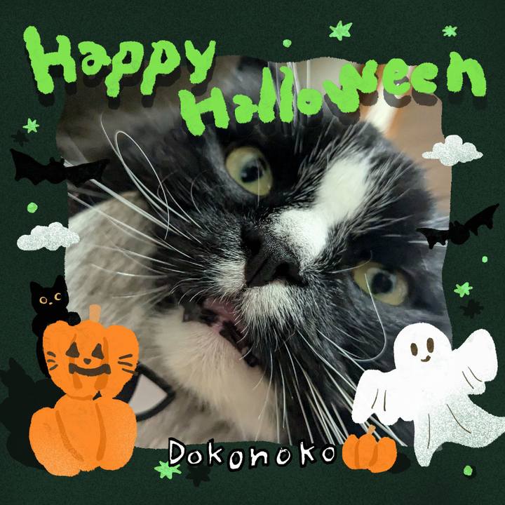 844ddff0 798d 4d21 937d a55e7079e4b3 1729081739233