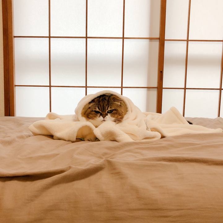 844e07d3 e90c 433b 9048 bd7a186bad9b 1606139670421