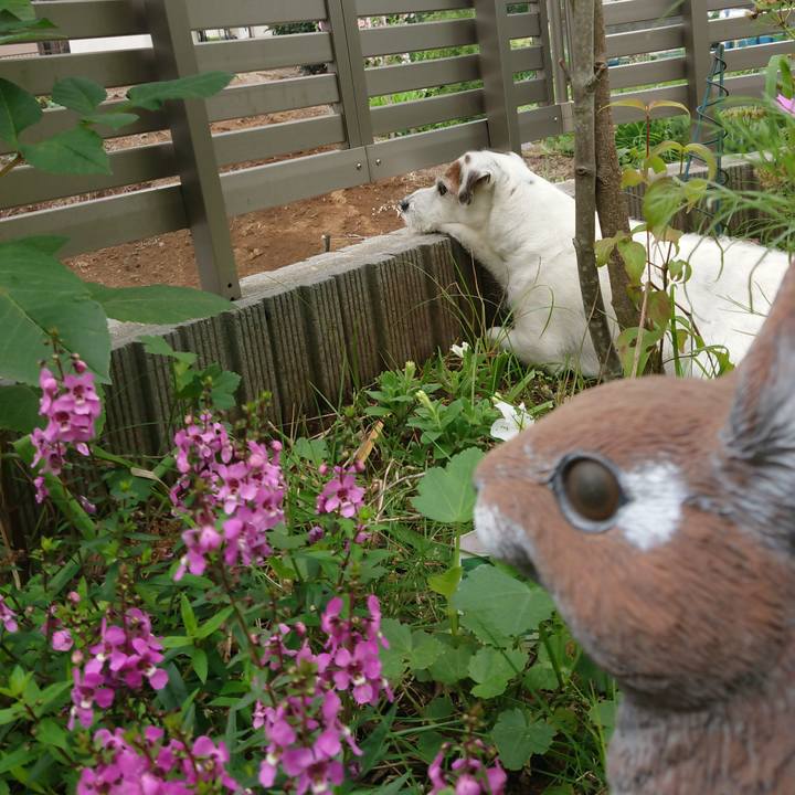 844e46d3 84d0 41af bdab 8bb5536628fd 1531091259500