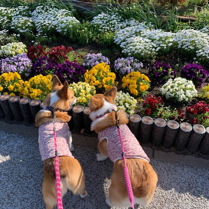 844e52cf 6be4 4e81 a6d6 86b48572706b 1586848473674