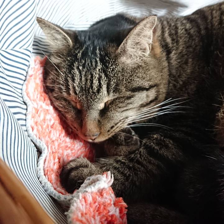 844e5b20 250a 4886 914f 445295375b00 1641089048582