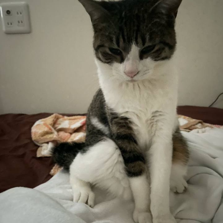 844e6770 647f 4e58 8075 faeba821c5da 1736494176035