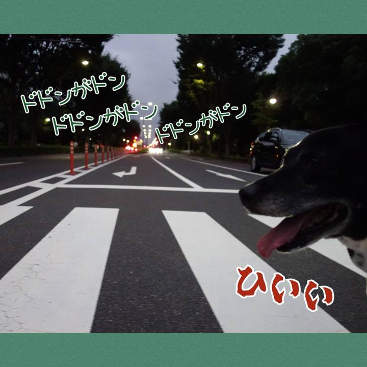 844e6e91 862f 4dcc 8da1 0297f8b96122 1752317654719