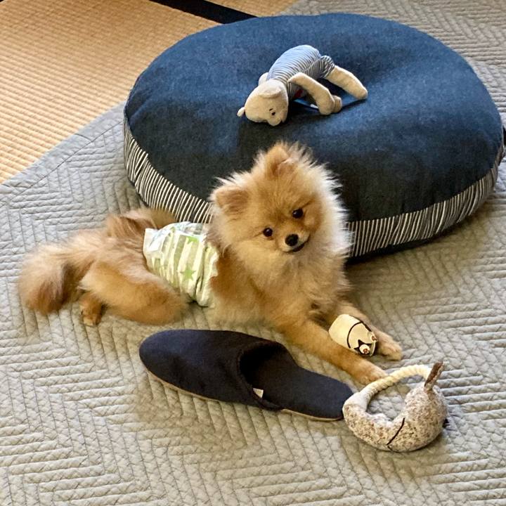 844e83ad 53b2 4889 94eb 90ad99e040c9 1642980032767