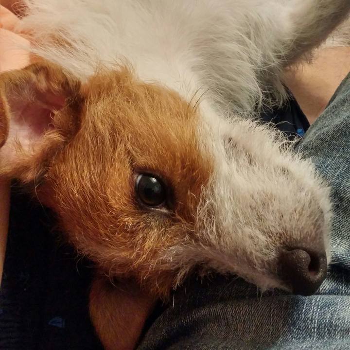 844e9c28 f1b0 4130 ae28 2e3676d691d5 1537880557719