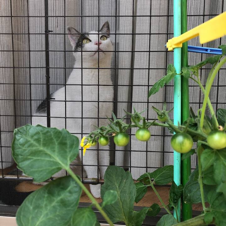 844e9c61 0ae5 429d 967e b80fd419cbaa 1686812499168