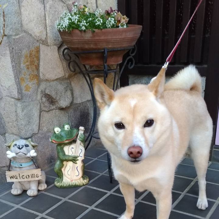 844ecff5 c199 4161 9b38 07ebed318804 1609469575653