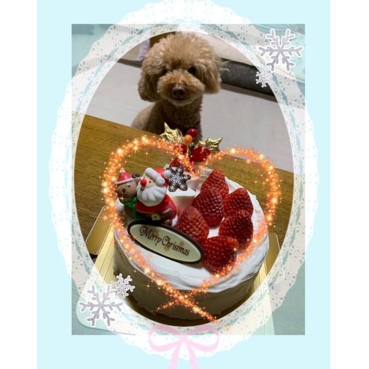 844ef2c4 52e0 4f2c a18e a9f78fdffc4f 1545776575416