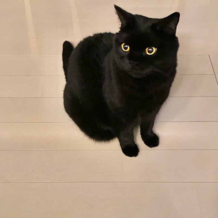 844f0806 4bfa 46ea a6f8 04bc6306c46a 1664800340729