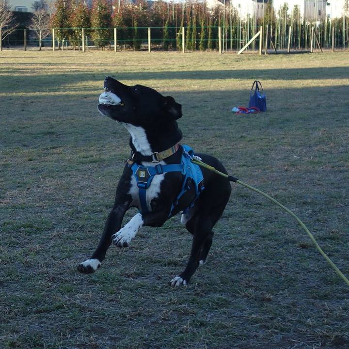 844f1f45 af3d 43a4 a188 9aa4a9168c66 1609636167348