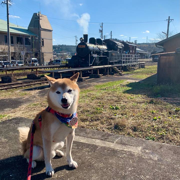 844f40c5 ebfa 4556 bb9b eb239d311cd5 1636887341301