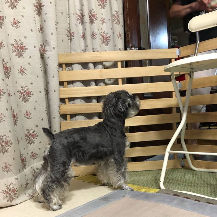 844f9d20 8846 44b5 a347 312cc747051d 1630838297424