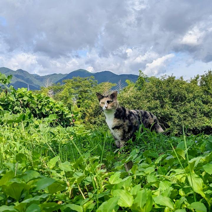 844fa723 9c39 4dbe 8f2e ee7b0b131205 1758453401086