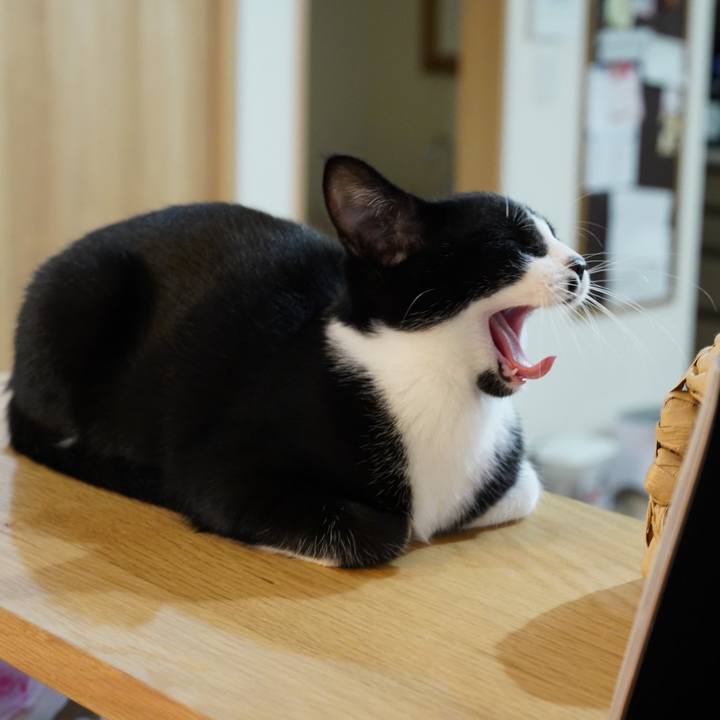 844fd0e5 6d90 41aa b139 0d8bd8e00d4e 1574035388271