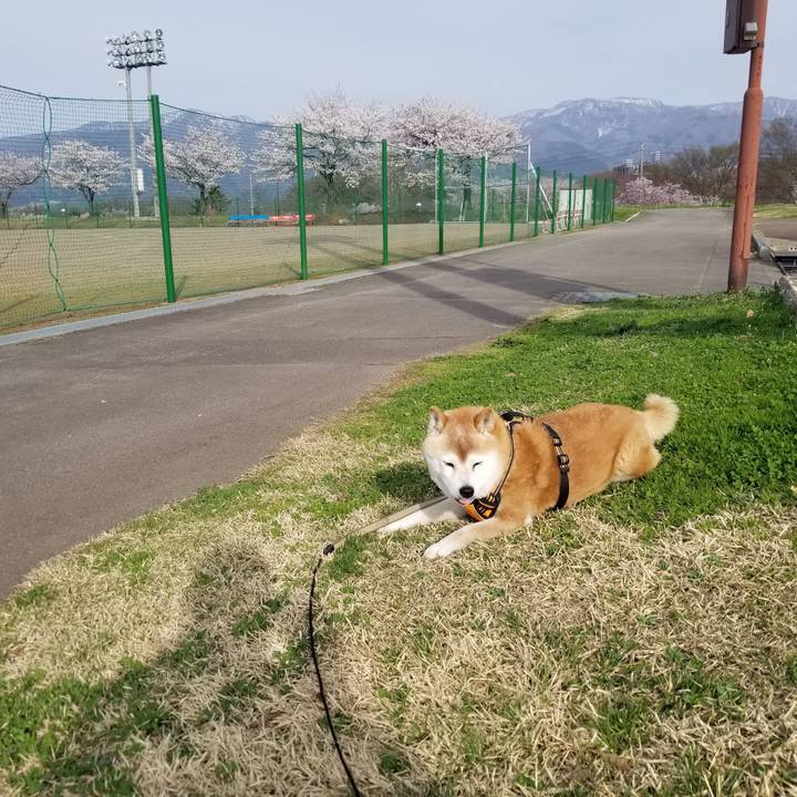 84500613 10bc 4a42 84a1 85218a083c9a 1713164644862