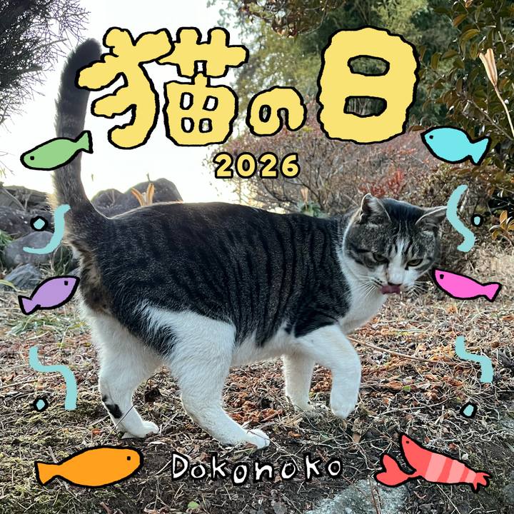 84501287 1b25 4bed 905d 1ea5cf23d5d8 1771714337202