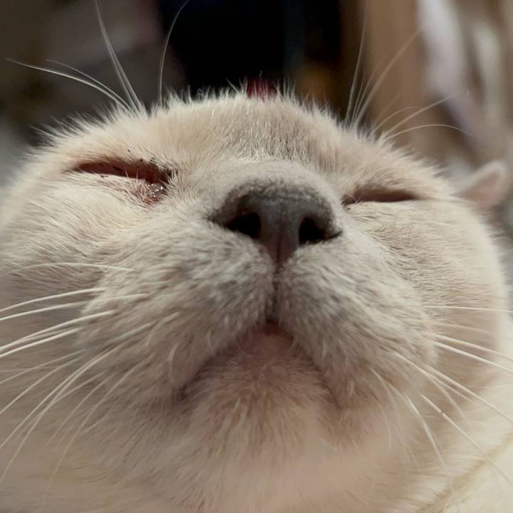 84505d65 23ce 495a 9dba 6c940a47758d 1741485273322