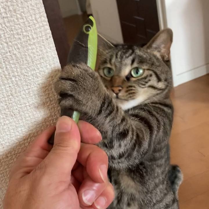 8450a0db 227b 4b45 9025 ec1880dd8708 1654918572643