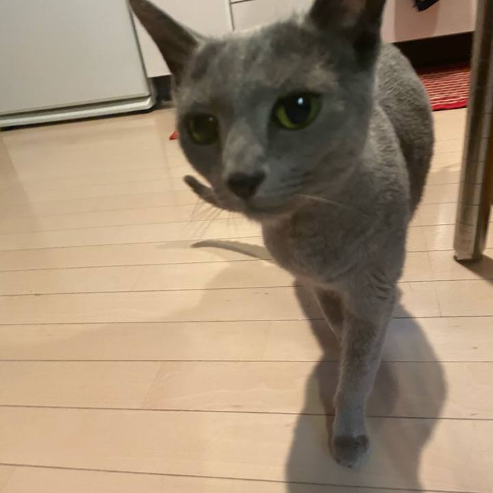 8450b98e d8ce 47ea 8cb3 024d2e4e7d3e 1583557474393