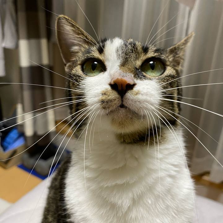 84510eb4 0e95 4256 948a 5926df286ea6 1664571536593