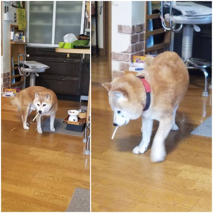 8451147a 909a 4dea aabc 918f51b8fe88 1748910515562