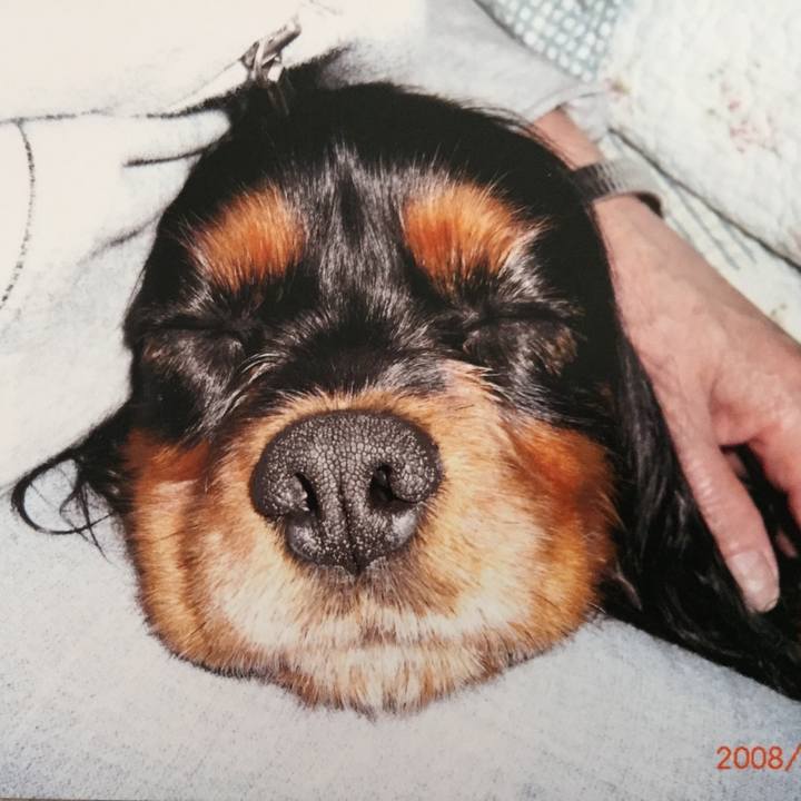 845123bf 6e29 48ca 8735 b1d0cc4dd137 1526282640459