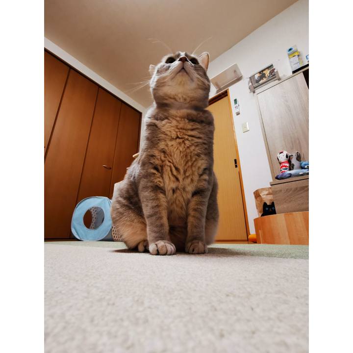 84515169 5188 4d2e 811a 8aa8069a61f8 1637726591209