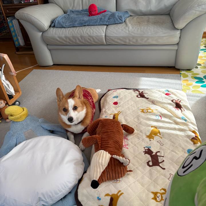 8451528e 4409 4112 a8e0 ac1b49b397f6 1769225945463