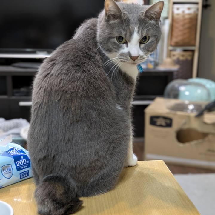 845169ea 243b 4f6a 84b1 a64204fed6c2 1775053004920