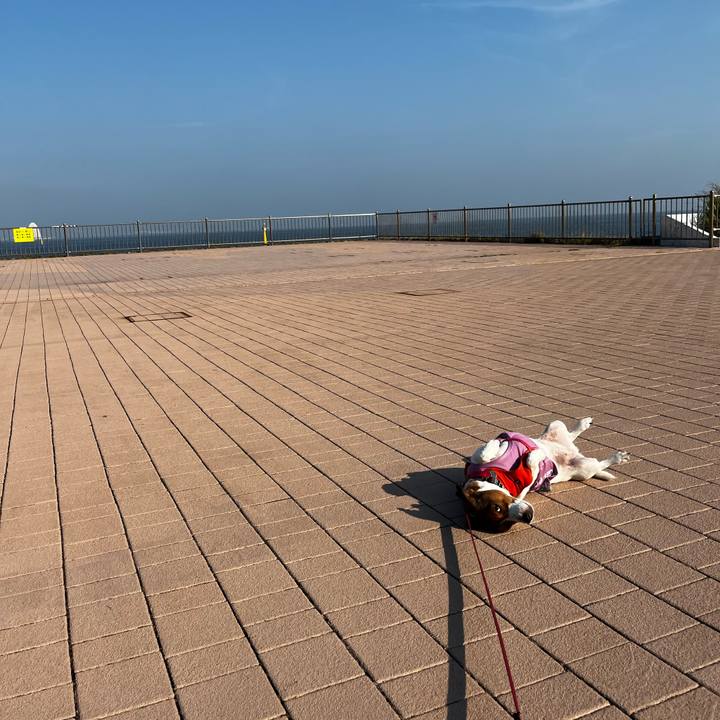 84516ed6 4d14 462c 86f2 8d917188af3f 1756533704950