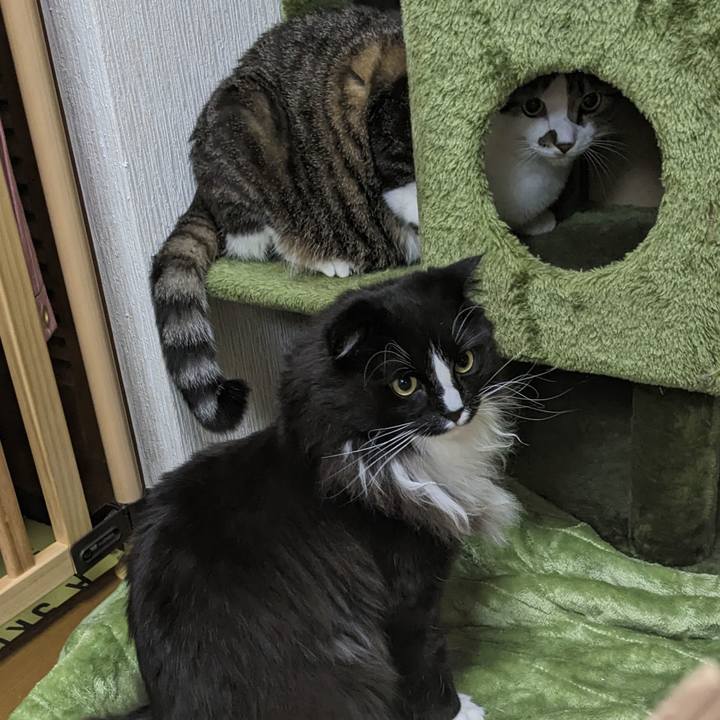 8451b359 ef6d 41fe b030 40415c81932e 1676206567689