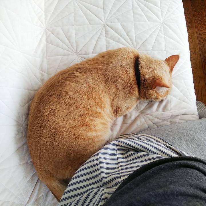 8451bdd8 01c1 42ce b92e bf4343d7e8af 1640744446284