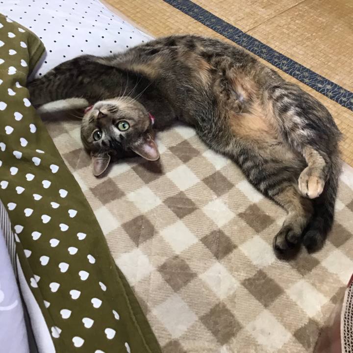 8451d776 fc18 4e50 a1b9 1b009aaf458c 1607138591321