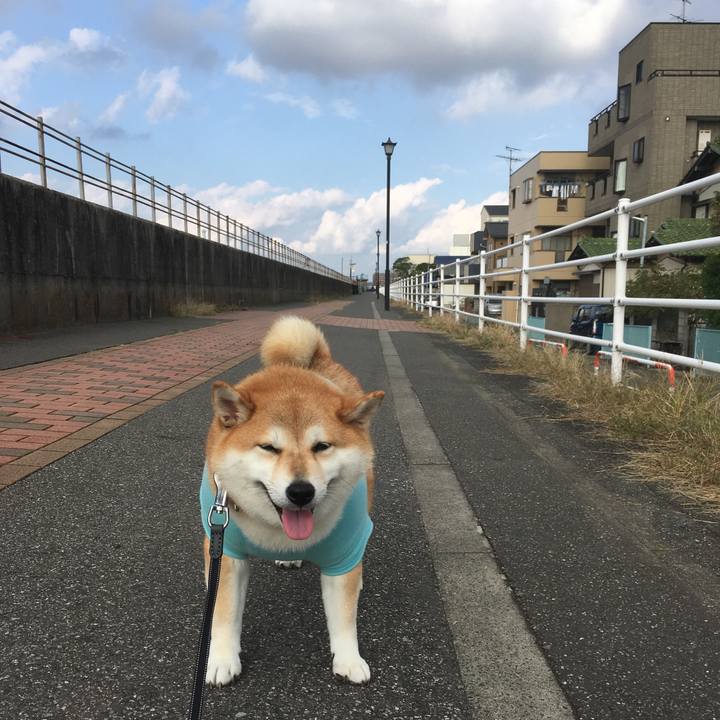 8451eb92 e3b6 4e1b 9c17 64a5af8e5e54 1541831199584