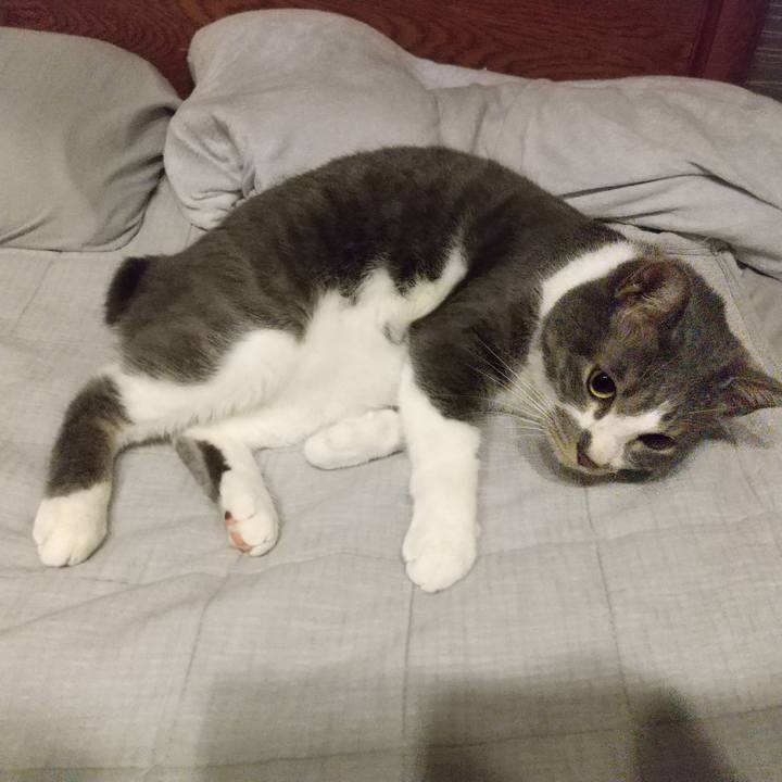 8452334e 8ba0 4eec a767 a20806829115 1650577055455