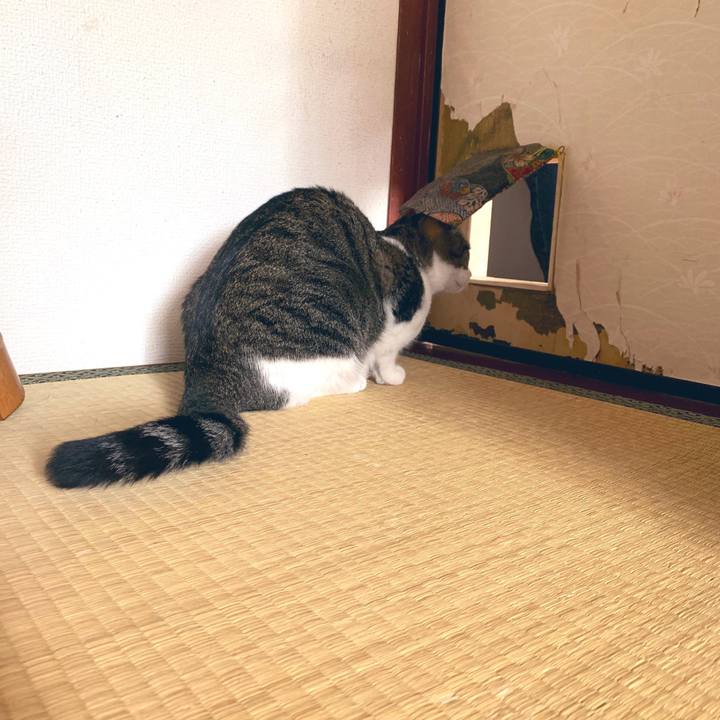 84528b18 6f23 4755 a2e1 7c4d757cc389 1555672434902